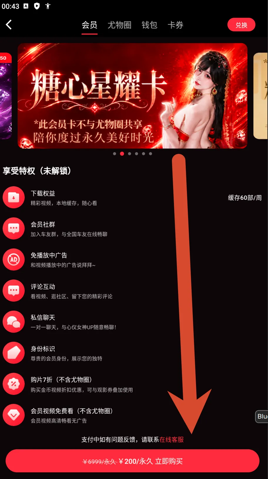 糖心Vlog星耀会员卡价格截图