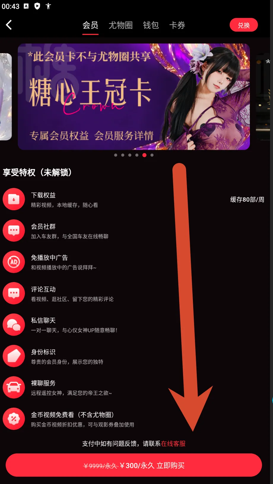 糖心Vlog皇冠会员卡价格截图